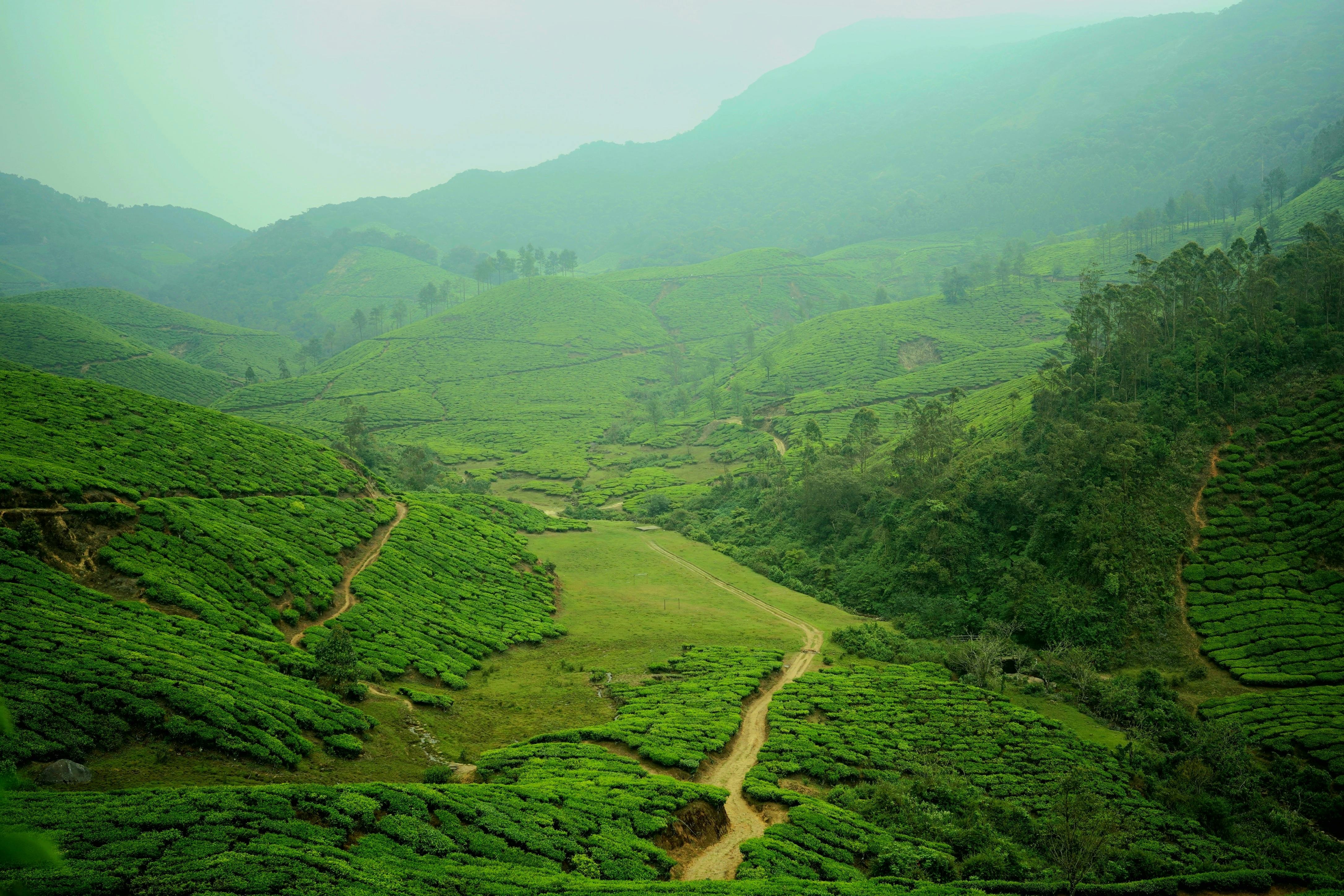 3 Day Munnar Tour Package from Varkala