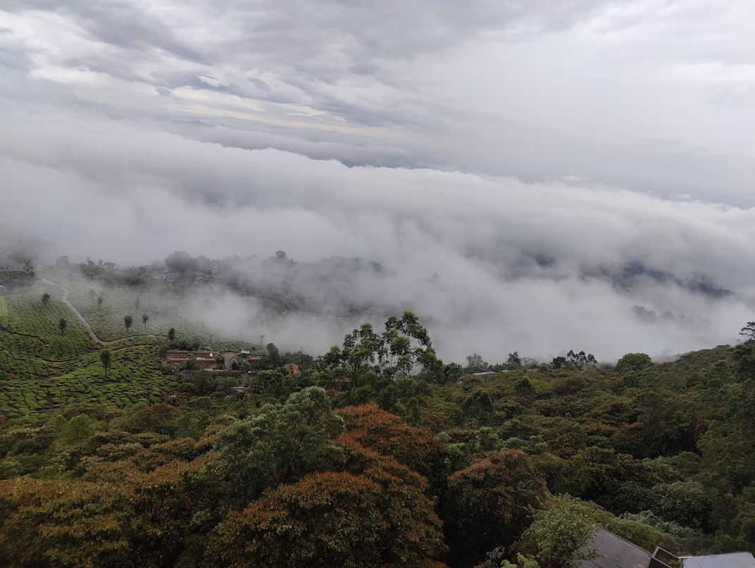3 Day Munnar Tour Package from Varkala